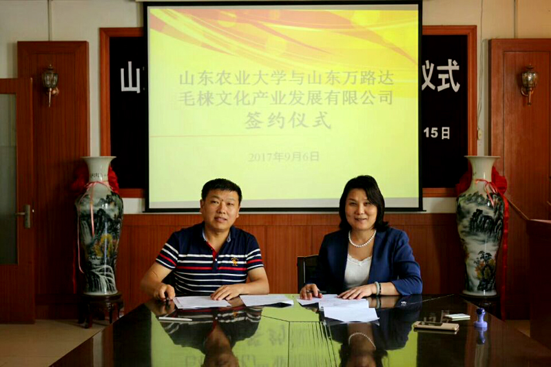 山东万路达毛梾文化产业发展有限公司与山东农业大学食品科学与工程学院***毛梾油的提取与提纯签署合作协议！