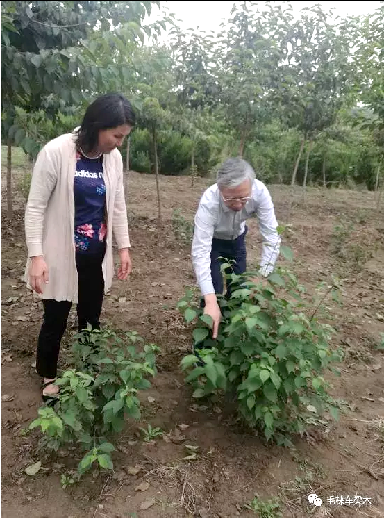 鼓掌院士｜张守攻蒋剑春新当选，林业还有哪些院士你知道吗？