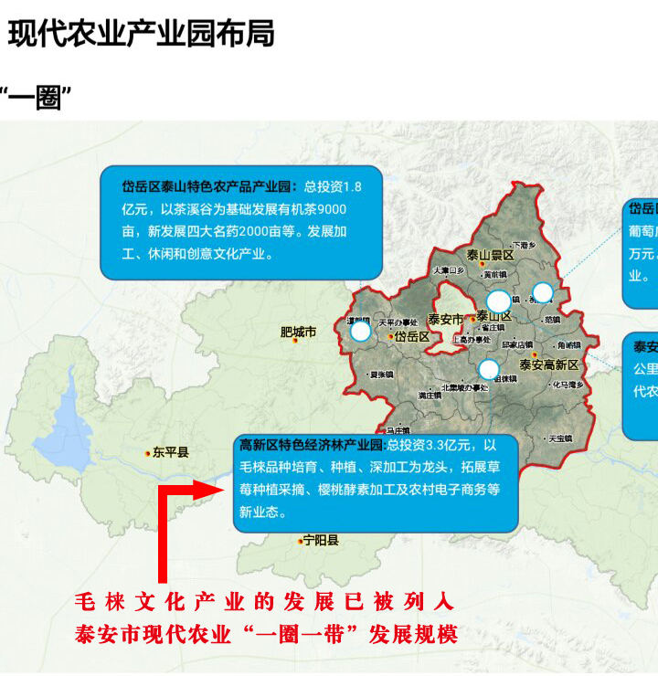 毛梾文化产业的发展已被列入泰安市现代农业“一圈一带”发展规模