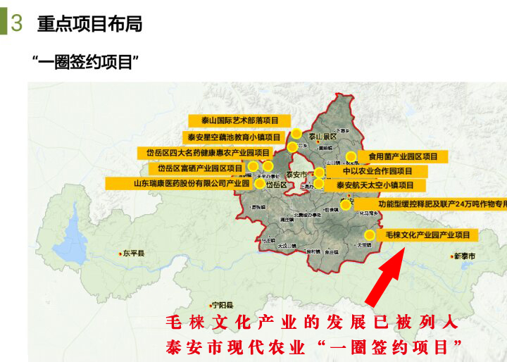 毛梾文化产业的发展已被列入泰安市现代农业“一圈一带”发展规模