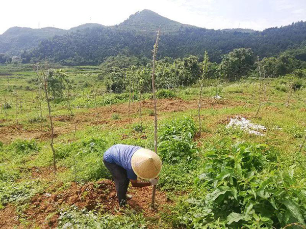 我公司参加国家林草局扶贫项目签约落地贵州独山