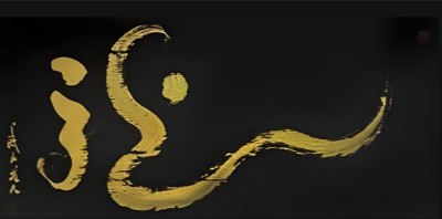 华夏精魂：龙的传奇与文化的永恒融合  龙文化传承人陈兆威