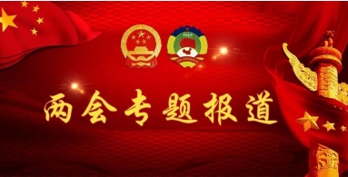 贯彻落实两会精神特别报道  中国著名国医大师——齐生亮